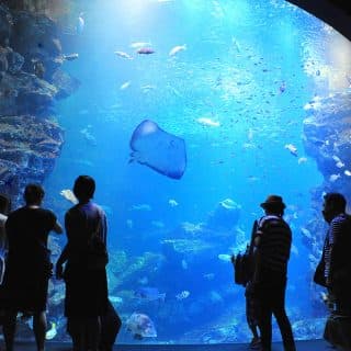 京都水族館