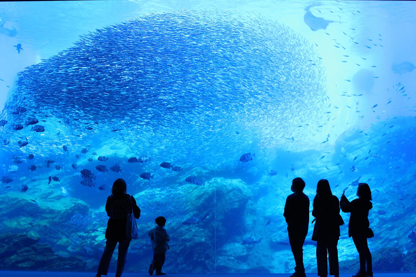 仙台うみの杜水族館