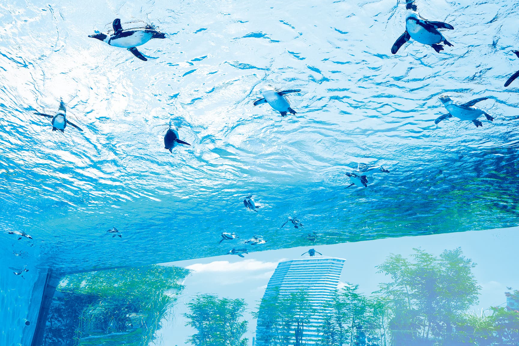 サンシャイン水族館