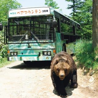 サホロリゾート ベア・マウンテン