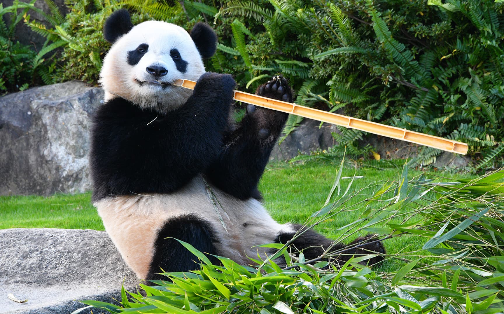 アドベンチャーワールド